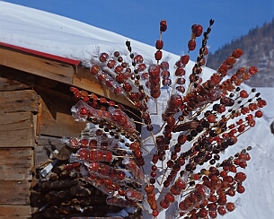 20090102_0067