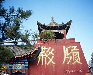 20091019_0486