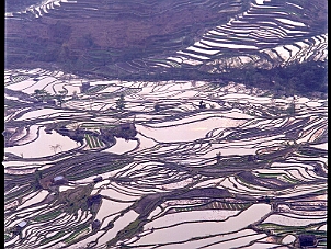 老虎嘴梯田