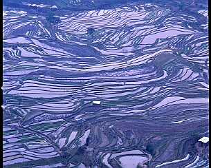 20070322_030