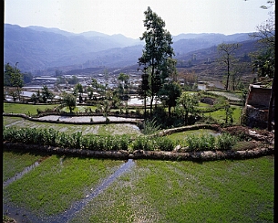 20070322_087_wm