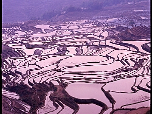愛村梯田 Ai Cun Terrace