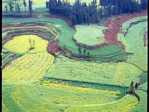 羅平 Luo Ping