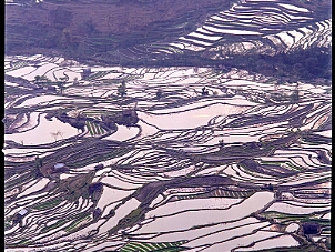 元陽 Yuan Yang Terrace
