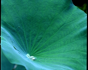 20060606_002