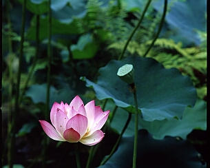 20060606_007