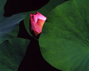 20070723_004