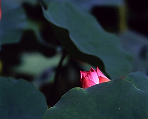 20070723_011