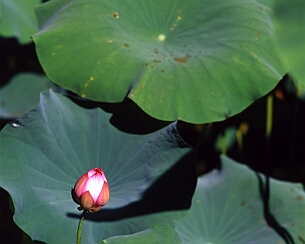 20070723_014