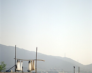 20090922_0008