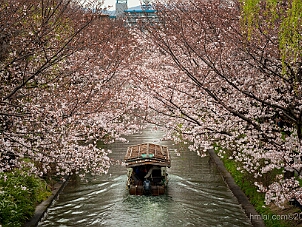 伏見十石舟 Fushimi Jukkokubune