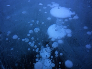 Bubble 泡