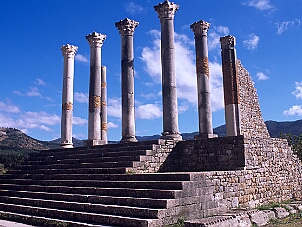 Volubilis 佛盧比里斯