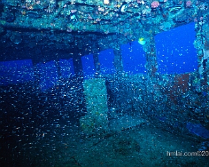 20120319_0228